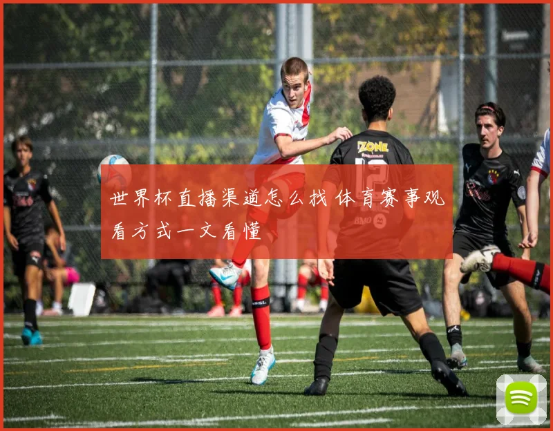 世界杯直播渠道怎么找 体育赛事观看方式一文看懂