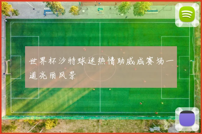 世界杯沙特球迷热情助威成赛场一道亮丽风景