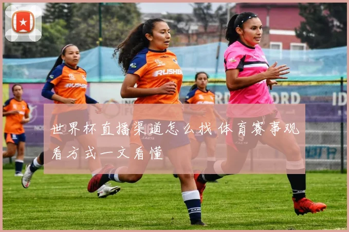 世界杯直播渠道怎么找 体育赛事观看方式一文看懂