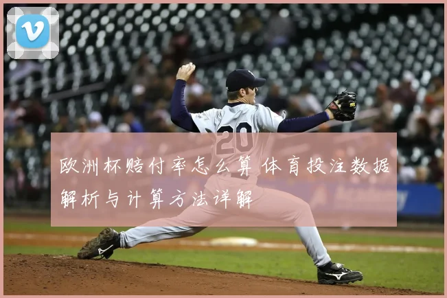 欧洲杯赔付率怎么算 体育投注数据解析与计算方法详解