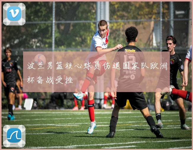 波兰男篮核心球员伤退国家队欧洲杯备战受挫