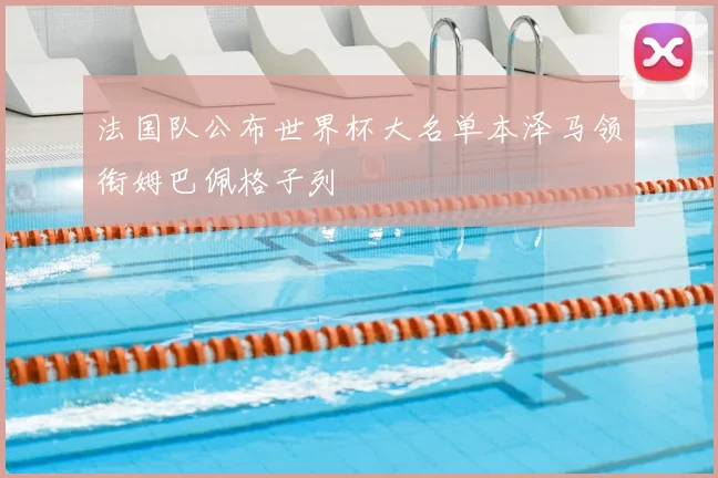 法国队公布世界杯大名单本泽马领衔姆巴佩格子列