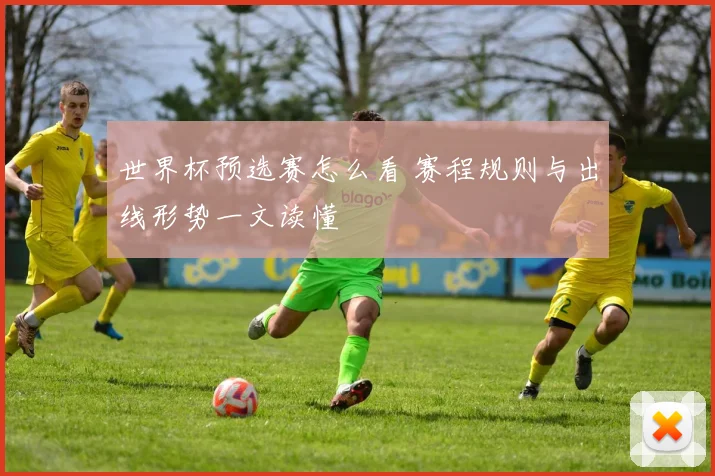 世界杯预选赛怎么看 赛程规则与出线形势一文读懂