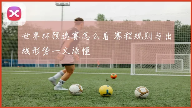 世界杯预选赛怎么看 赛程规则与出线形势一文读懂
