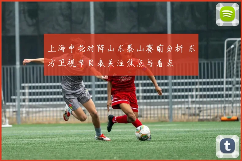 上海申花对阵山东泰山赛前分析 东方卫视节目表关注焦点与看点